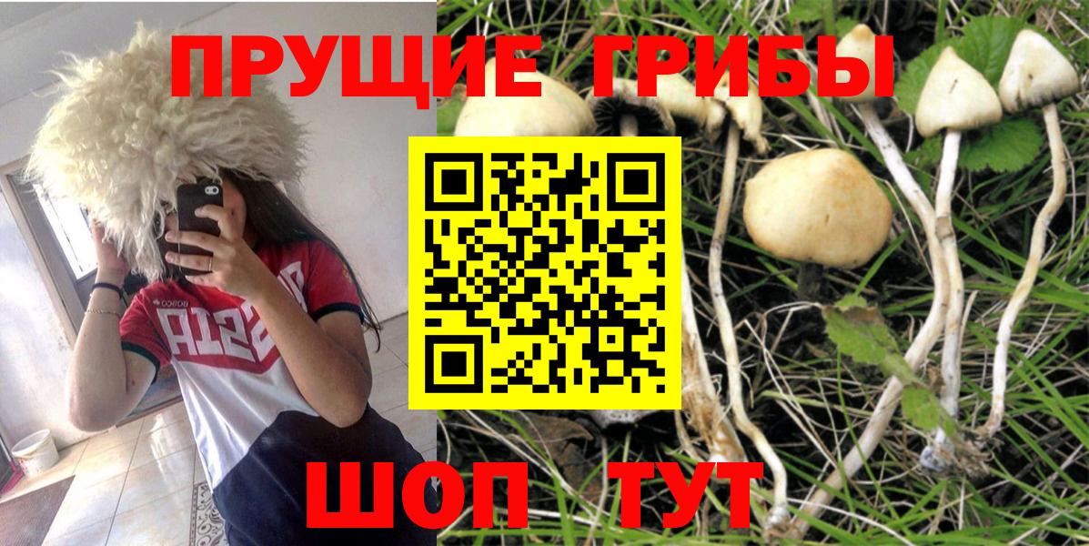 Галлюциногенные грибы Psilocybine cubensis  где можно купить наркотик  Туймазы  Вход с VPN  Псилоцибиновые грибы MAGIC MUSHROOMS 